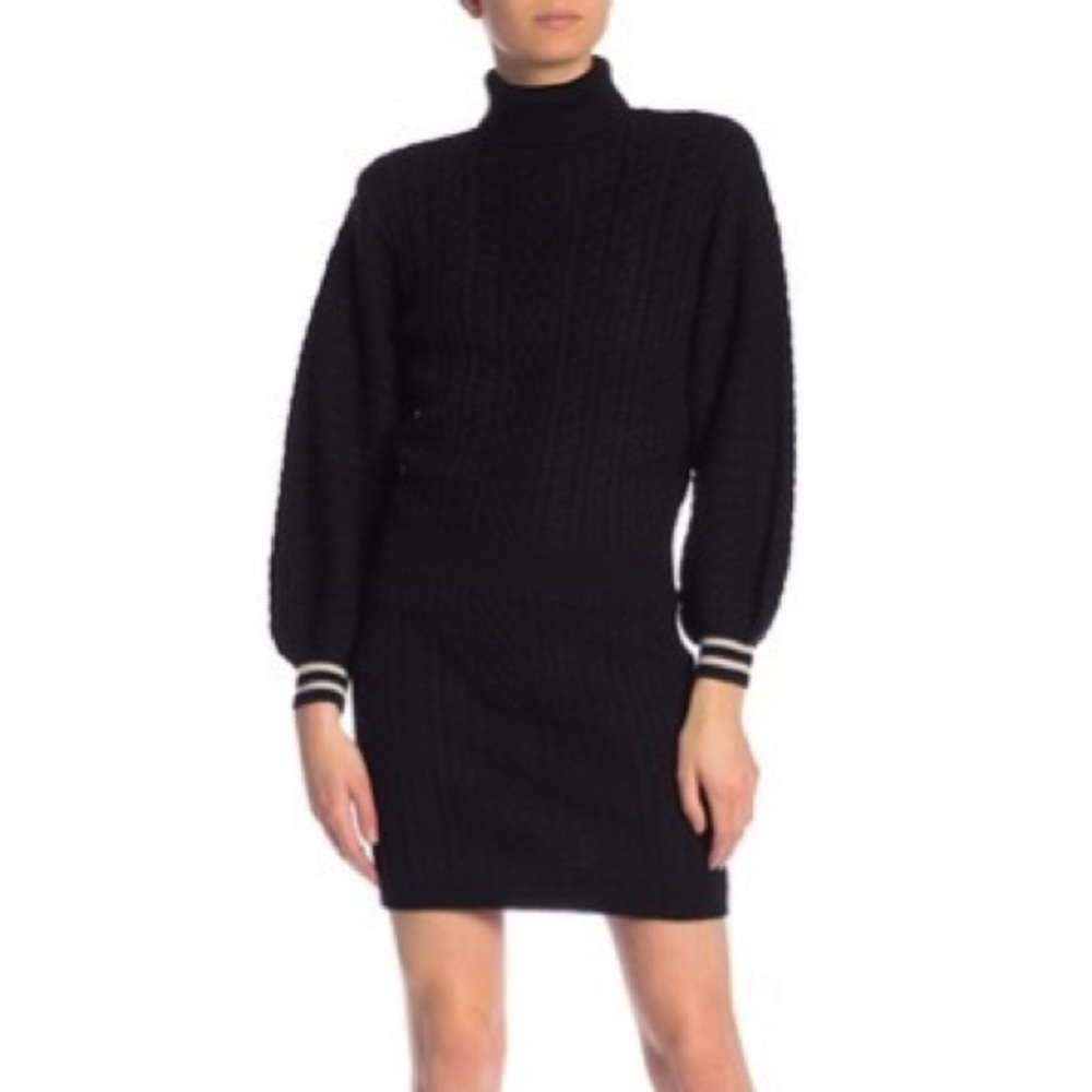 Joie Jelinelle Turtleneck Sweater Dress